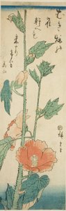 Hibiskus von Utagawa Hiroshige