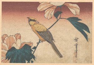 Hibiscus Mutabilis und Jay von Utagawa Hiroshige