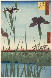 Horikiri-Irisgarten (Horikiri no hanashōbu), aus der Serie Einhundert berühmte Ansichten von Edo (Meisho Edo hyakkei)