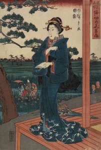 Irisgarten in Horikiri, April 1852
