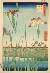 Schwertlilien in Horikiri, aus der Serie "Hundert berühmte Ansichten von Edo"
