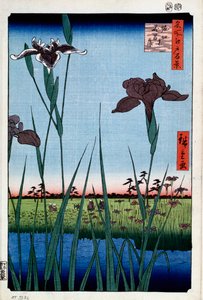 Schwertlilien in Horikiri, Einhundert berühmte Ansichten von Edo, 1856-1858