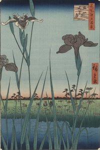 Schwertlilien von Horikiri, aus der Serie Hundert berühmte Ansichten von Edo von Utagawa Hiroshige