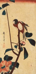 Japanische Meise auf Kamelienzweig von Utagawa Hiroshige
