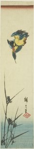 Eisvogel und Schilf von Utagawa Hiroshige