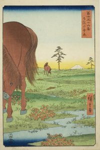 Kogane-Ebene in der Provinz Shimosa (Shimosa Koganehara), aus der Serie "Sechsunddreißig Ansichten des Berges Fuji (Fuji sanjurokkei)" von Utagawa Hiroshige