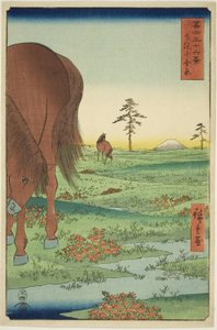 Kogane-Ebene in der Provinz Shimosa (Shimosa Koganehara), aus der Serie "Sechsunddreißig Ansichten des Berges Fuji (Fuji sanjurokkei)" von Utagawa Hiroshige