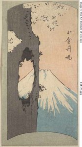Koganei, Abschnitt eines Blattes aus der Serie "Ausschnitte berühmter Orte in Edo (Edo meisho harimaze zue)"