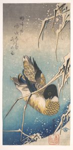 Stockente und schneebedeckte Schilfrohre von Utagawa Hiroshige