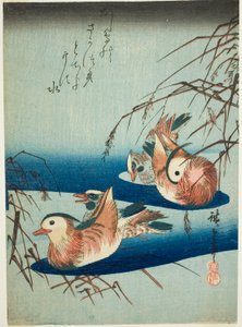 Mandarinenten von Utagawa Hiroshige