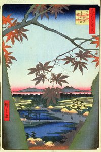 Ahornbäume bei Mam, Tekona-Schrein und verbundene Brücke, Platte 94 aus der Serie Einhundert Ansichten von Edo, Edo-Periode, Ansei-Ära, 1857