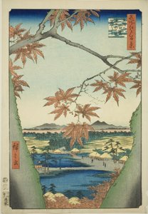 Ahornbäume bei Mama, Tekona-Schrein und Tsugi-Brücke (Mama no momiji, Tekona no yashiro, Tsugihashi), aus der Serie "Hundert berühmte Ansichten von Edo (Meisho Edo hyakkei)"