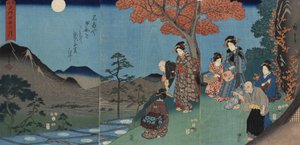 Mond spiegelt sich in den Reisfeldern bei Sarashina in der Provinz Shinano