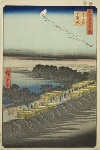 Nihon-Damm, Yoshiwara (Yoshiwara Nihonzutsumi), aus der Serie "Hundert berühmte Ansichten von Edo (Meisho Edo hyakkei)" von Utagawa Hiroshige