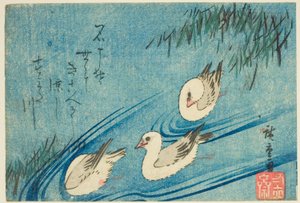 Austernfischer von Utagawa Hiroshige