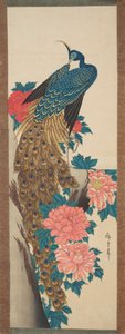 Pfau und Pfingstrosen von Utagawa Hiroshige