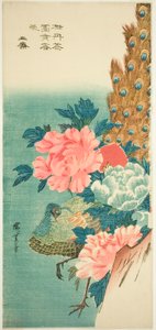 Pfau und Pfingstrosen von Utagawa Hiroshige