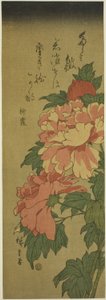 Pfingstrosen von Utagawa Hiroshige