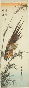 Fasan und Bambus von Utagawa Hiroshige