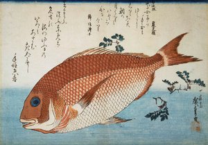 Roter Schnapper, 1832-1834 von Utagawa Hiroshige