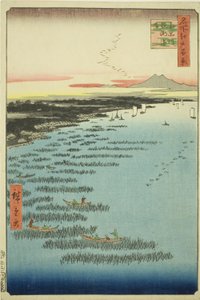 Samezu-Küste in Süd-Shinagawa (Minami-Shinagawa Samezu kaigan), aus der Serie "Hundert berühmte Ansichten von Edo (Meisho Edo hyakkei)"