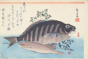 Shimadai und Ainame, aus der Serie 