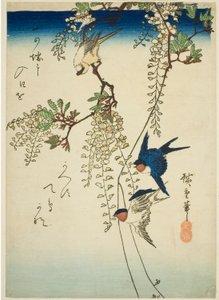 Schwalbe, gelber Vogel und Glyzinie von Utagawa Hiroshige