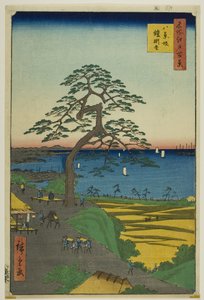 Die Rüstungshängende Kiefer bei Hakkeizaka (Hakkeizaka Yoroikakematsu), aus der Serie "Hundert berühmte Ansichten von Edo (Meisho Edo hyakkei)" von Utagawa Hiroshige