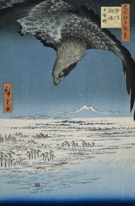 Die Jumantsubo-Ebene in Susaki bei Fukagawa