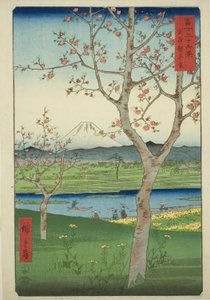 Die Vororte von Koshigaya in der Provinz Musashi (Musashi Koshigaya zai), aus der Serie "Sechsunddreißig Ansichten des Berges Fuji (Fuji sanjurokkei)"