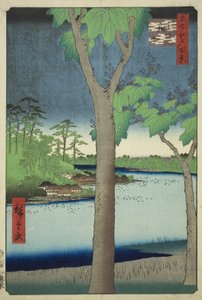 Der Paulownia-Hain in Akasaka, aus der Serie "Hundert berühmte Ansichten von Edo"