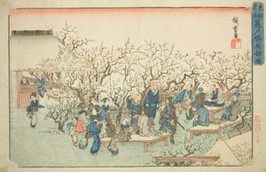 Der Pflaumengarten in Komeido (Kameido ume yashiki no zu), aus der Serie "Berühmte Orte in der östlichen Hauptstadt (Toto meisho)"