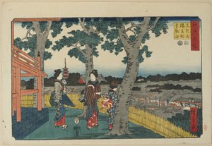 Die Ansicht des Matuschiyama-Hügels, Saruwaka-Distrikt und Kinryu-zan-Tempel, November 1853