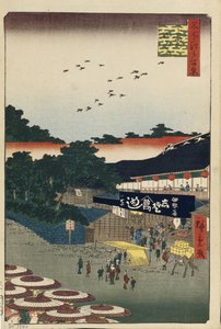 Ueno Yamashita Hundert berühmte Ansichten von Edo, 1856-1858