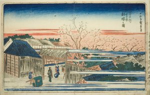 Ansicht der Kirschblüten am Morgen im neuen Yoshiwara (Shin Yoshiwara asazakura no zu), aus der Serie "Berühmte Ansichten der östlichen Hauptstadt (Toto meisho)"