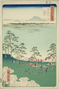 Blick nach Norden vom Asuka-Hügel, aus der Serie "Hundert berühmte Ansichten von Edo"