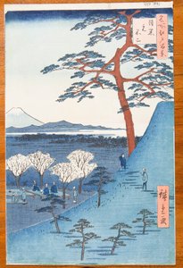 Blick von Meguro auf den echten Fuji - Meguro Moto-Fuji, Tafel 25 aus der Serie: Hundert berühmte Ansichten von Edo / Meisho Edo hyakkei von Utagawa Hiroshige