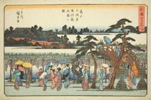 Blauregen in voller Blüte im Bezirk des Kameido Tenmangu Schreins, aus der Serie "Neu ausgewählte berühmte Orte in Edo" von Utagawa Hiroshige
