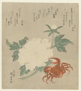 Pfingstrose mit Krabbe von Utagawa Kunisada (I)