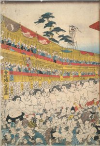 Bilder des großen Sumo-Festivals