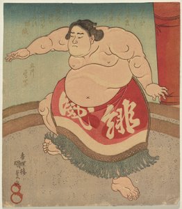 Der Sumoringer Hiodoshi Rikiya II