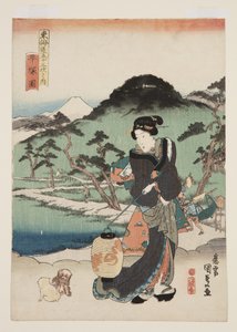 Ansicht von Hiratsuka von Utagawa Kunisada