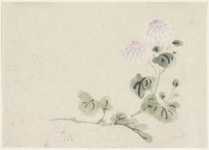 Lila-weiße Chrysanthemen von Utagawa Kuniyoshi
