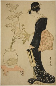 Ikebana betrachten