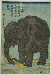 Bild eines großen Elefanten aus Indien (Tenjiku hakurai dai zo no shashin), eine Attraktion in Ryogoku in der östlichen Hauptstadt (Toto Ryogoku mimono) von Utagawa Yoshikazu