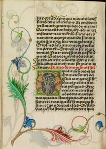 Geschmückter Initialbuchstabe O von Valentine Noh