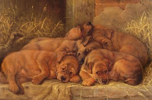 Welpenliebe von Valentine Thomas Garland