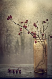 Beeren am regnerischen Fenster von Valeriya Tikhonova