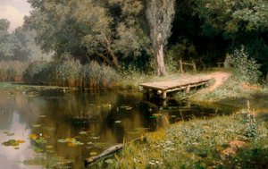 Der von Vegetation überwucherte Teich