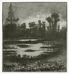 Les Chants du Crépuscule, 19. Jahrhundert von Victor Hugo